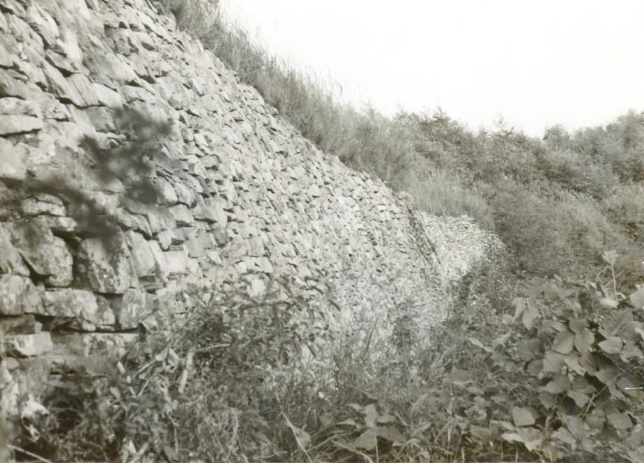 충주 남산성이미지