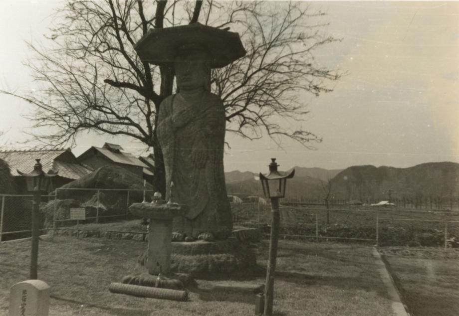충주 원평리 석조여래입상이미지