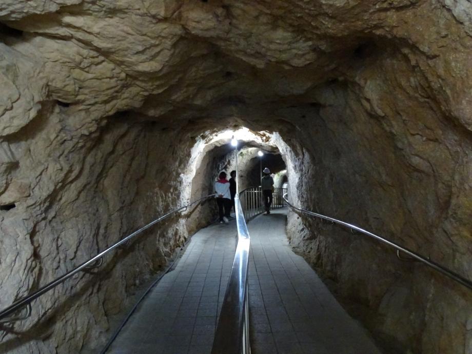 충청북도 문화재돌봄사업