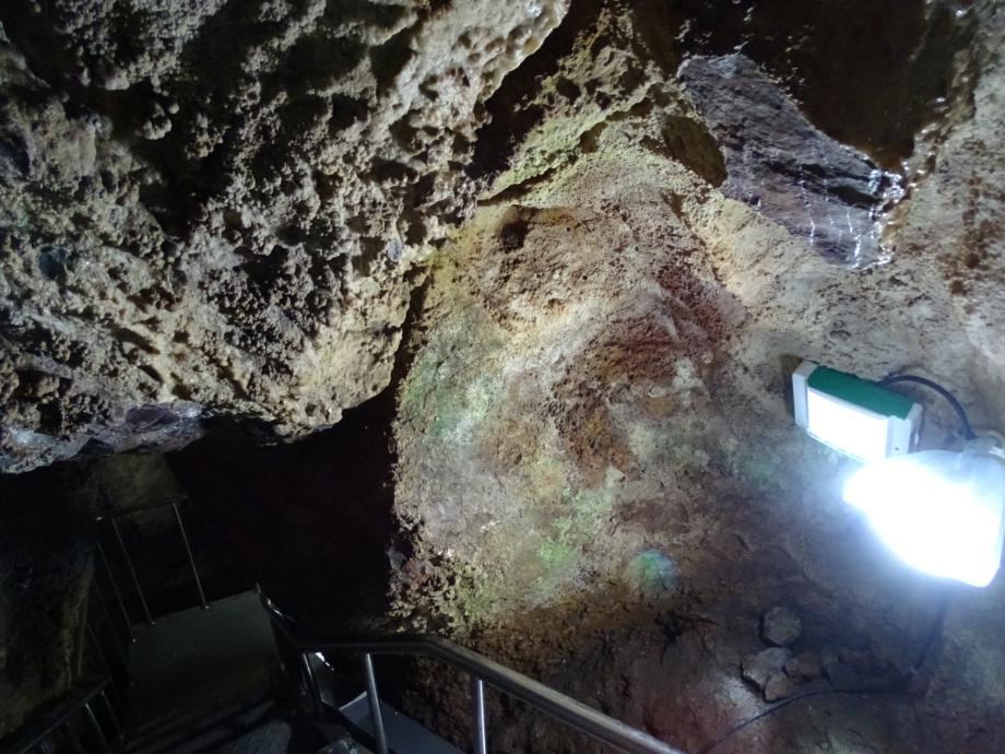 충청북도 문화재돌봄사업