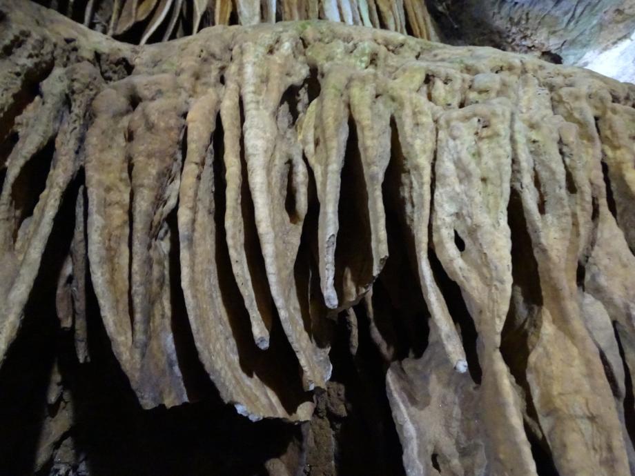 충청북도 문화재돌봄사업