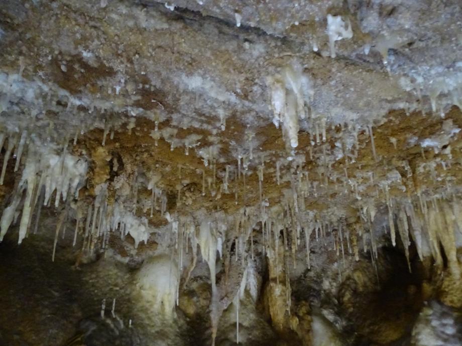 충청북도 문화재돌봄사업