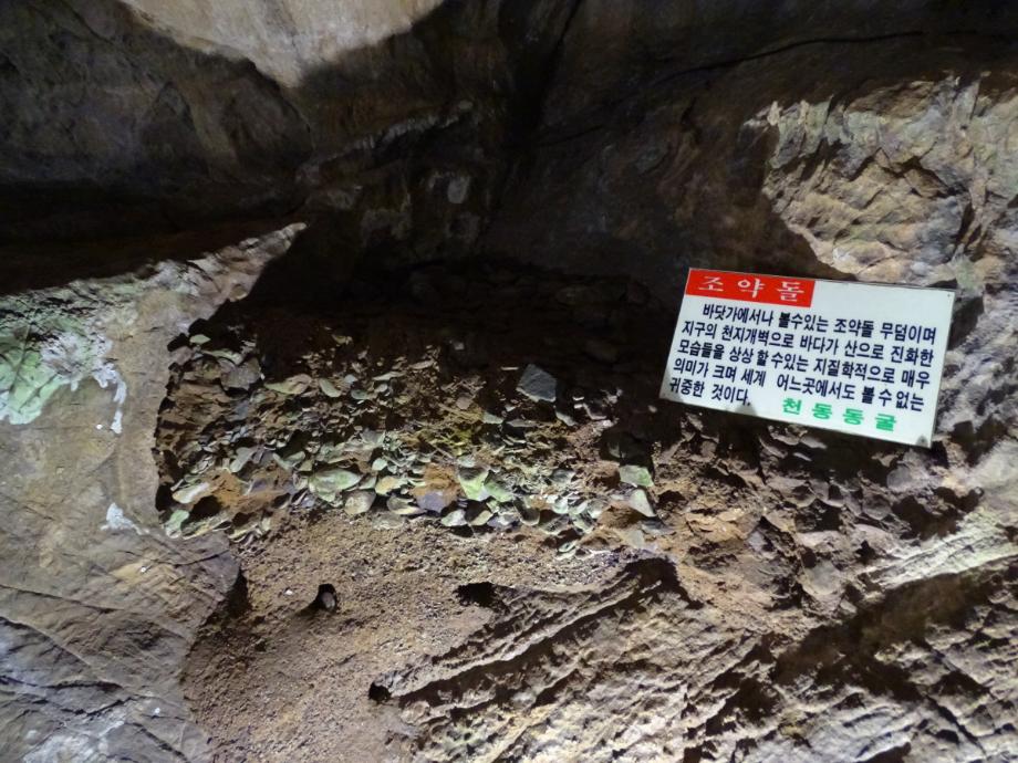 충청북도 문화재돌봄사업