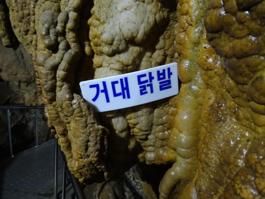 충청북도 문화재돌봄사업