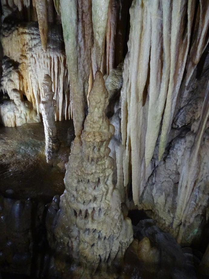 충청북도 문화재돌봄사업