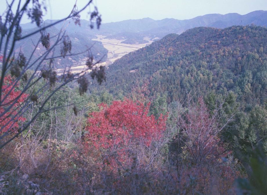 보은 삼년산성이미지
