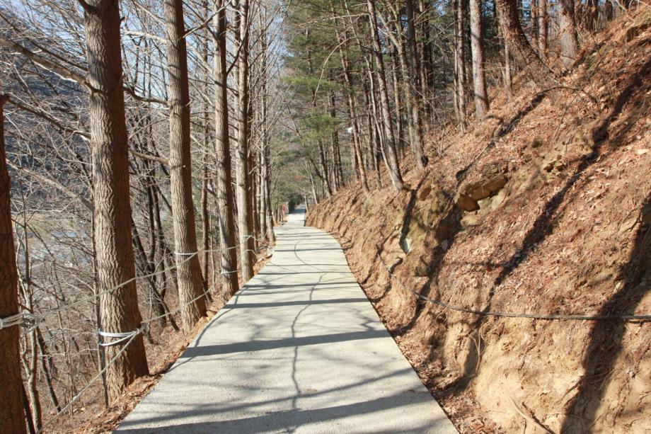 단양 문화재 사진