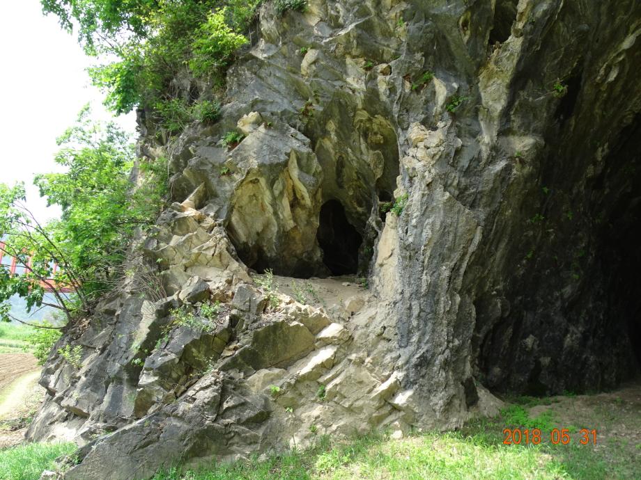 단양 금굴 유적