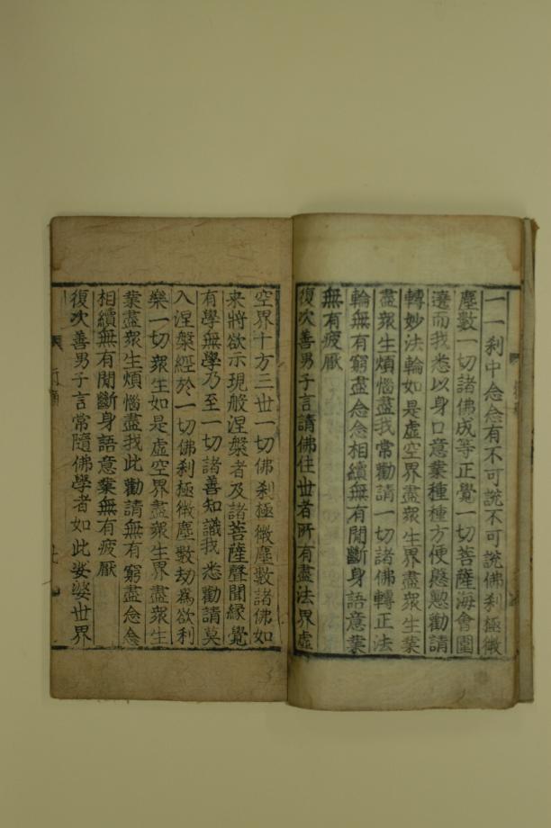 대방광불화엄경보현행원품이미지