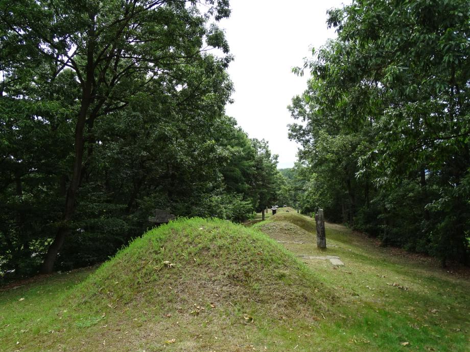 충청북도 문화재돌봄사업