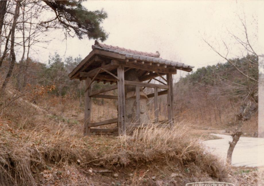 괴산 지장리 석조여래좌상이미지
