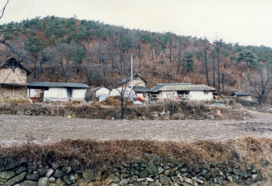 충주 오갑사지 석조여래좌상이미지