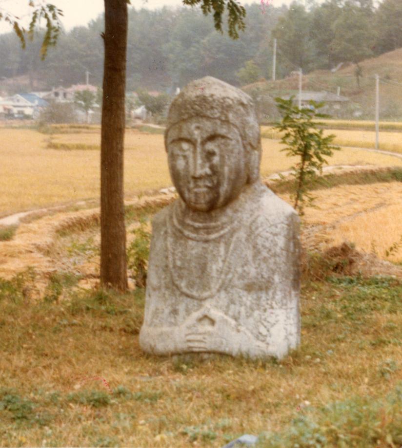 제천 두학동 석조여래입상이미지