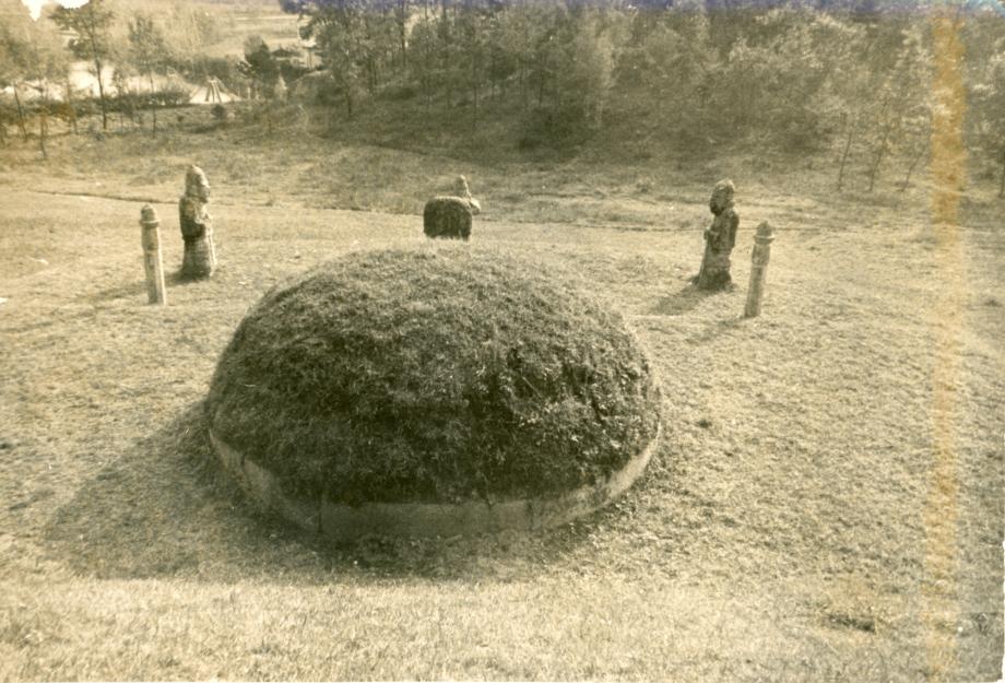 충주 이수일 묘소이미지