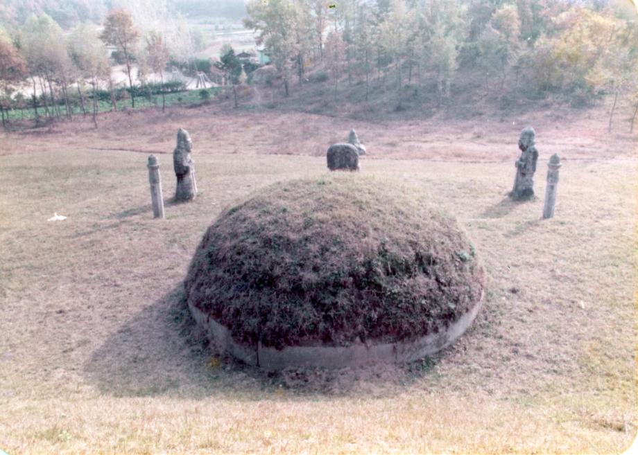 충주 이수일 묘소이미지