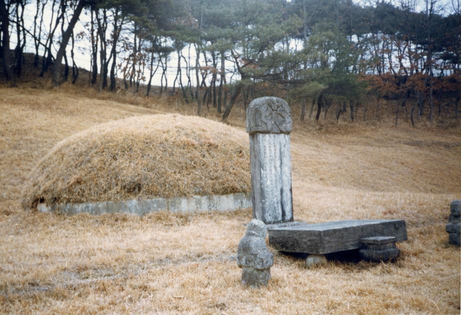 충주 이수일 묘소이미지