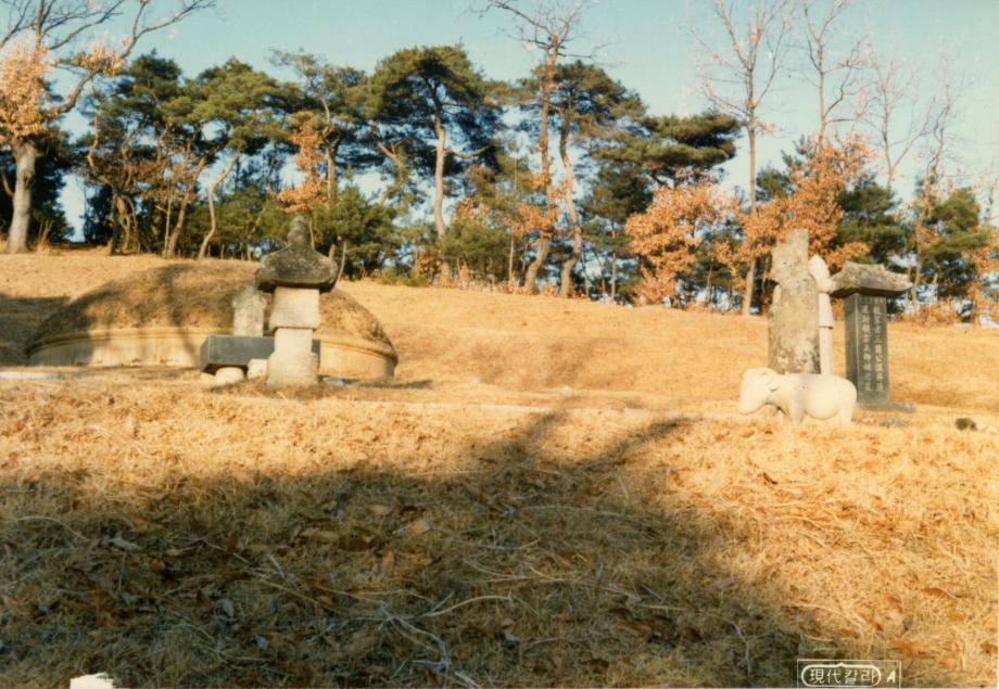 음성 경녕군 부인 김씨 묘소이미지