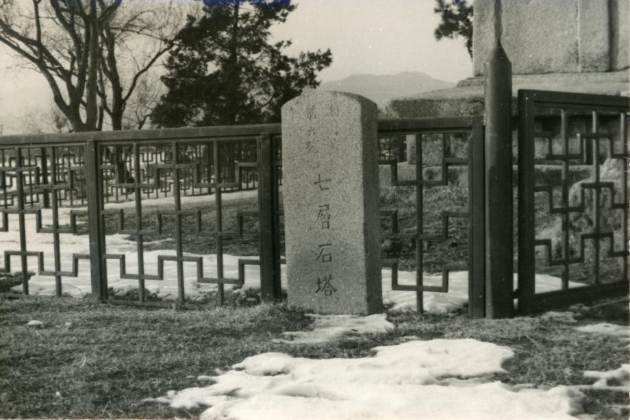 충주 탑평리 칠층석탑이미지