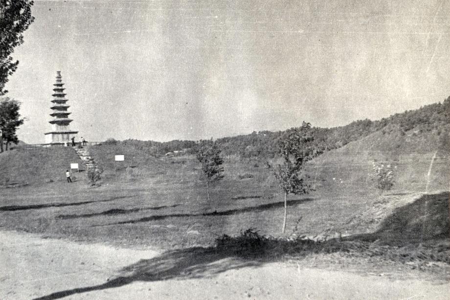 충주 탑평리 칠층석탑이미지