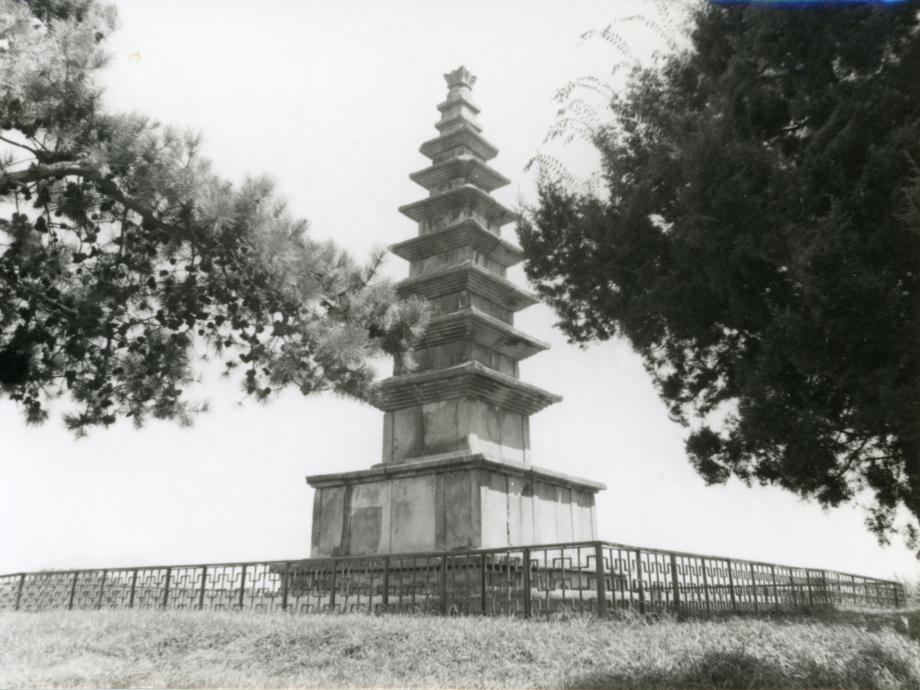 충주 탑평리 칠층석탑이미지