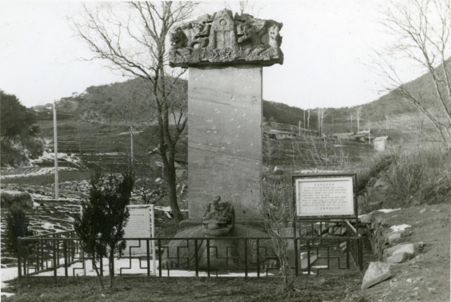 충주 정토사지 법경대사탑비이미지