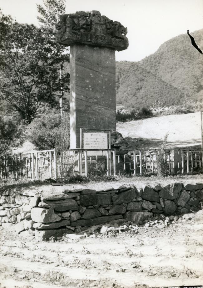 충주 정토사지 법경대사탑비이미지