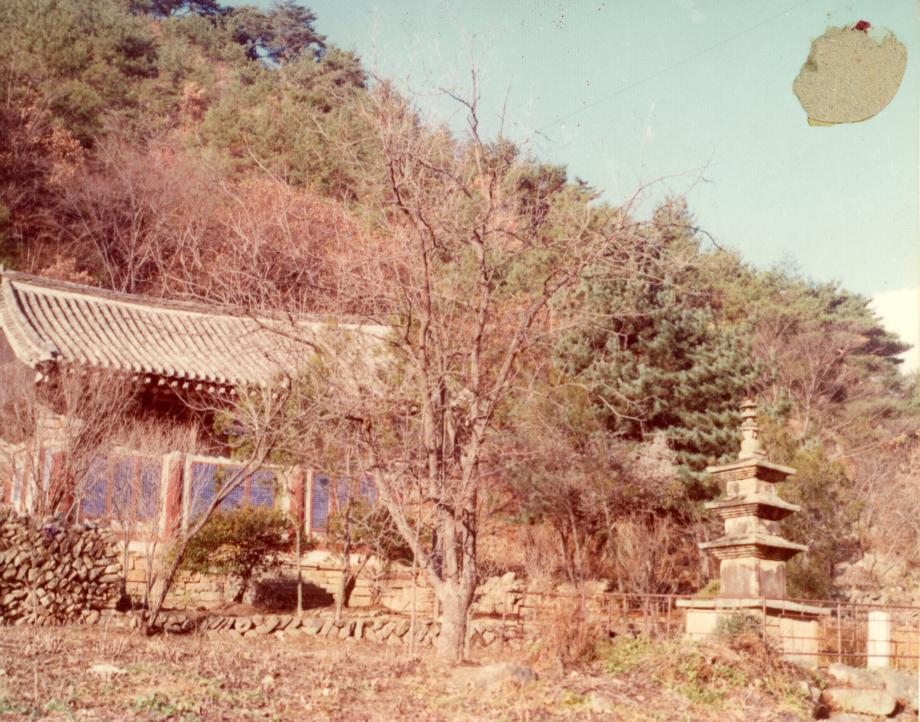 제천 신륵사 삼층석탑이미지
