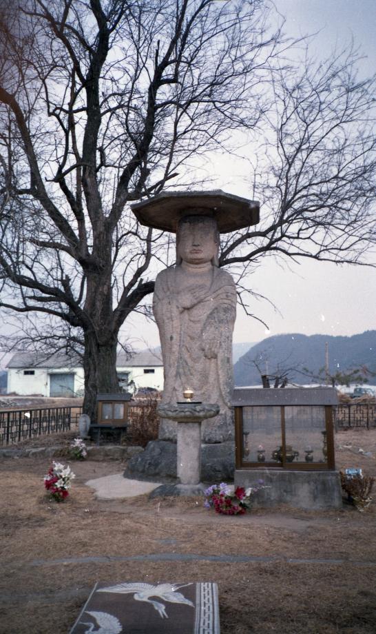 충주 원평리 석조여래입상이미지
