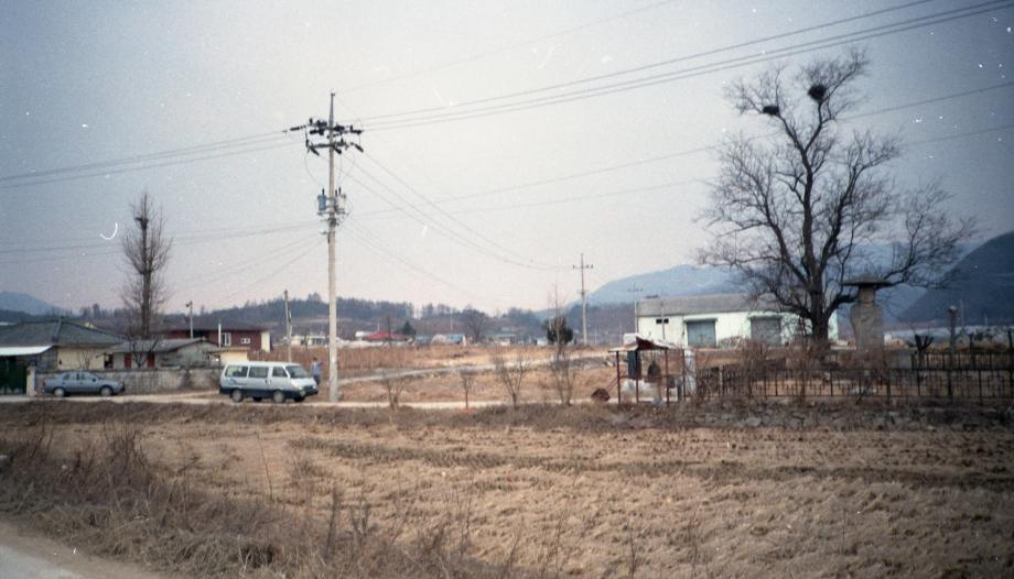 충주 원평리 석조여래입상이미지
