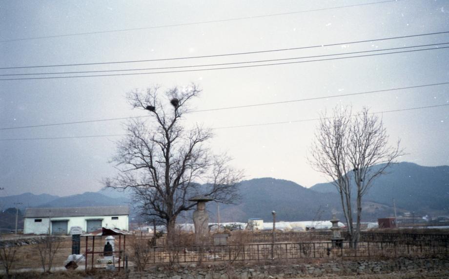 충주 원평리 석조여래입상이미지