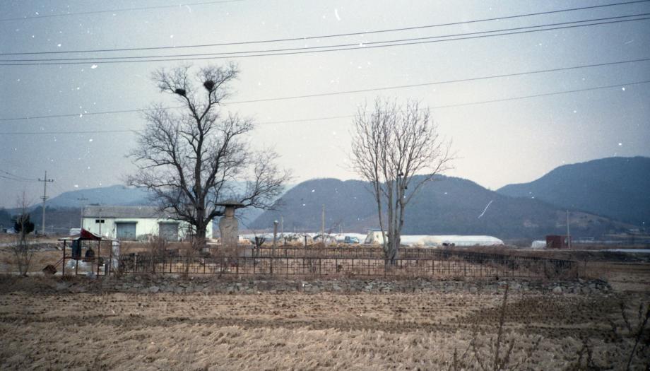 충주 원평리 석조여래입상이미지