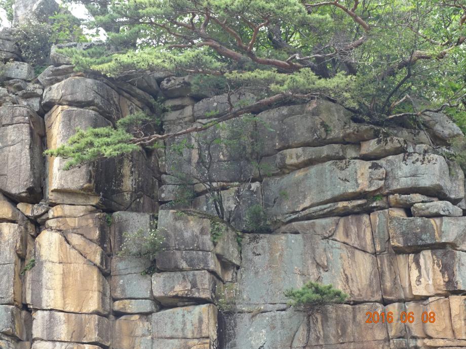 충청북도 문화재돌봄사업