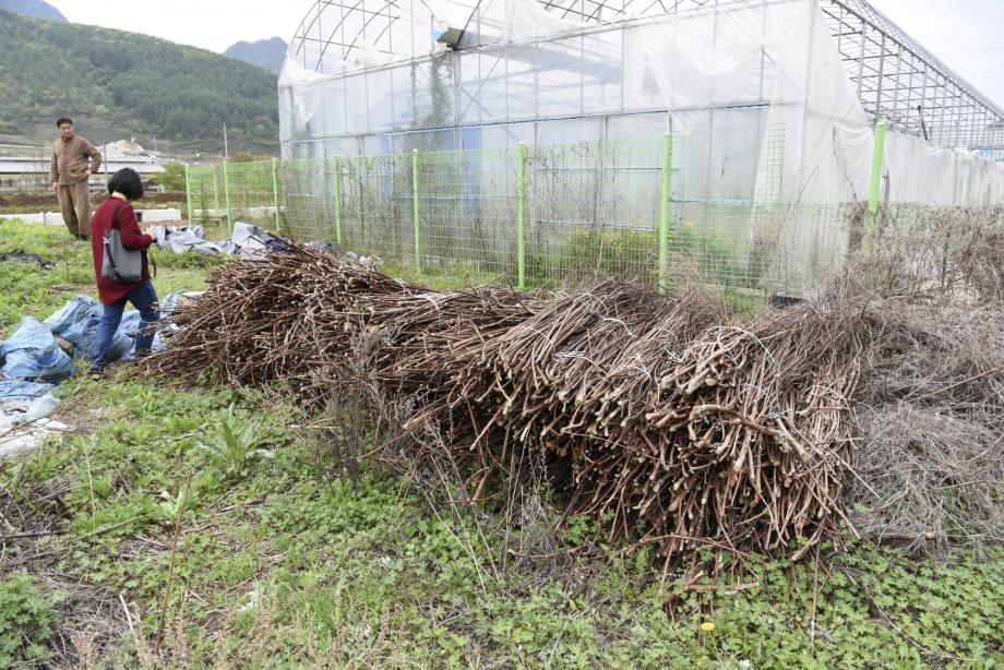 충청북도 지정문화재(무형) 정기조사