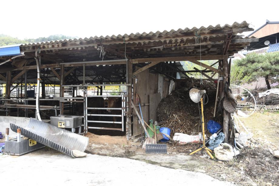 충청북도 지정문화재(무형) 정기조사