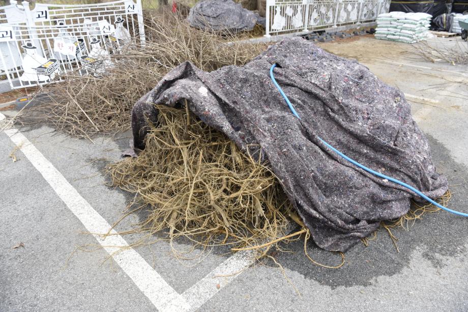 충청북도 지정문화재(무형) 정기조사