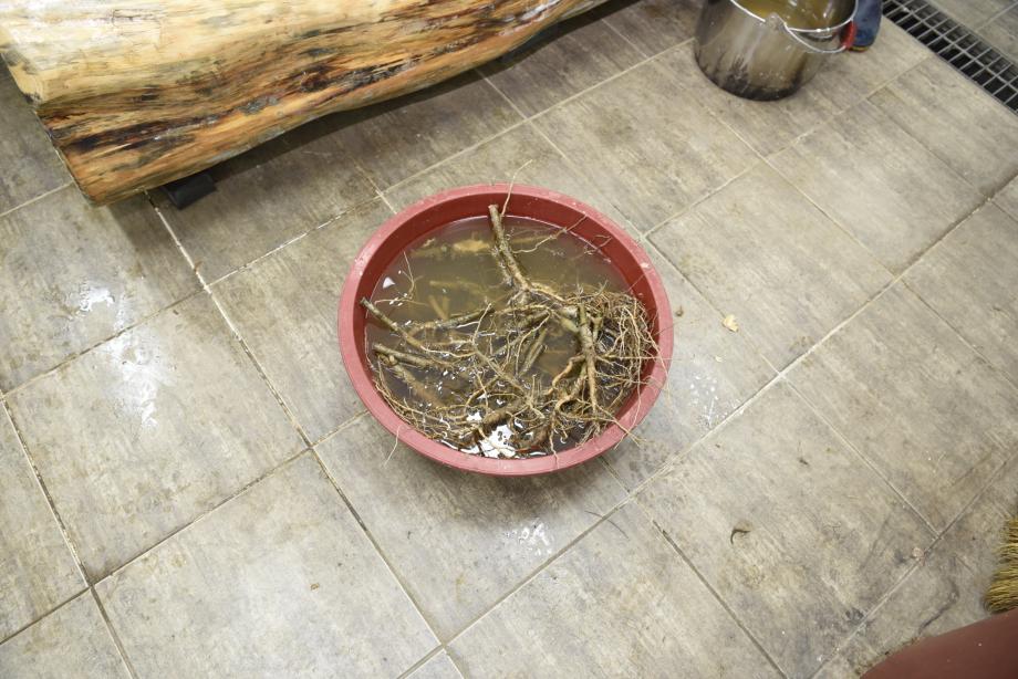 충청북도 지정문화재(무형) 정기조사