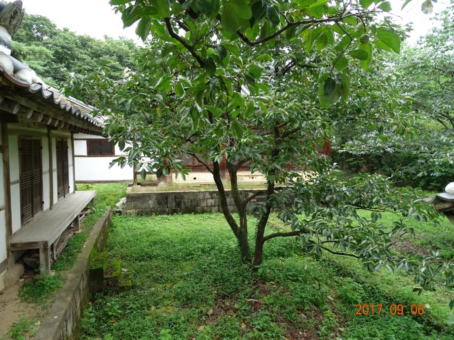 충청북도 문화재돌봄사업