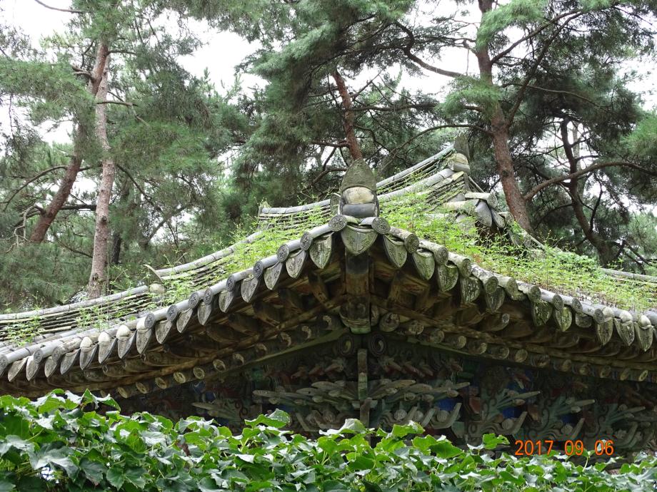 충청북도 문화재돌봄사업