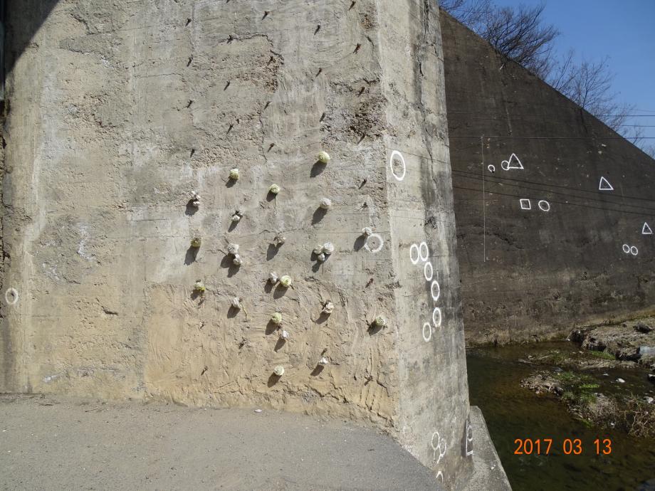충청북도 문화재돌봄사업