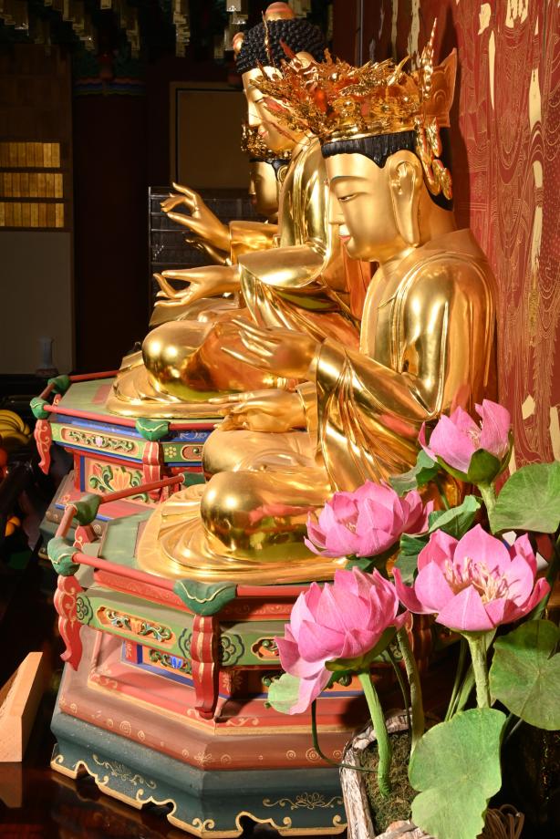 충청북도 도지정문화재 정기조사 결과보고서