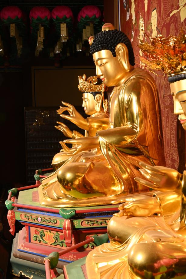 충청북도 도지정문화재 정기조사 결과보고서