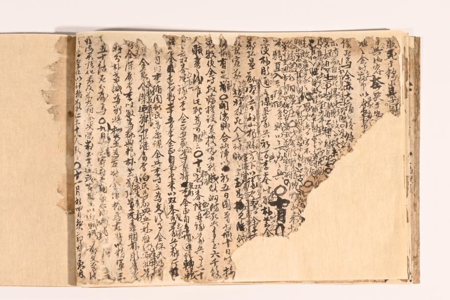 충청북도 도지정문화재 정기조사 결과보고서