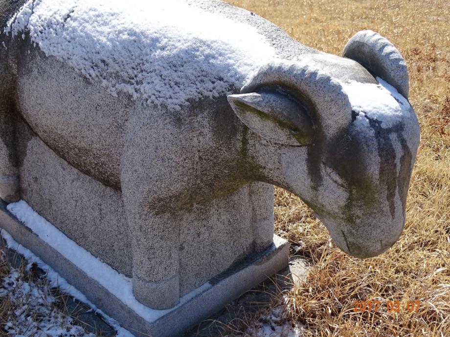 충청북도 문화재돌봄사업