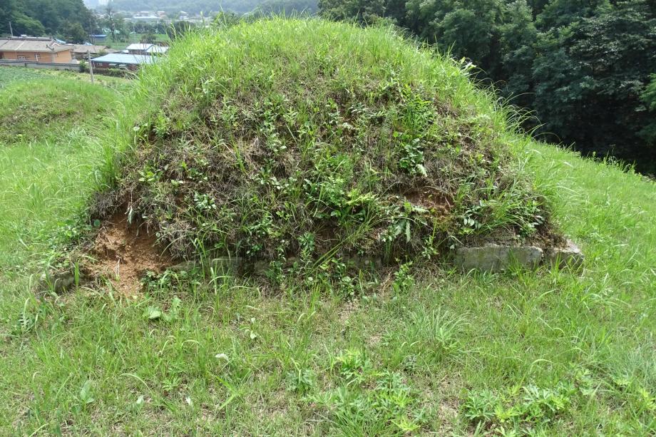 충청북도 문화재돌봄사업