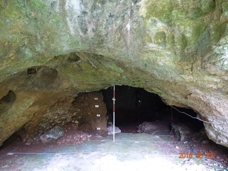 충청북도 문화재돌봄사업