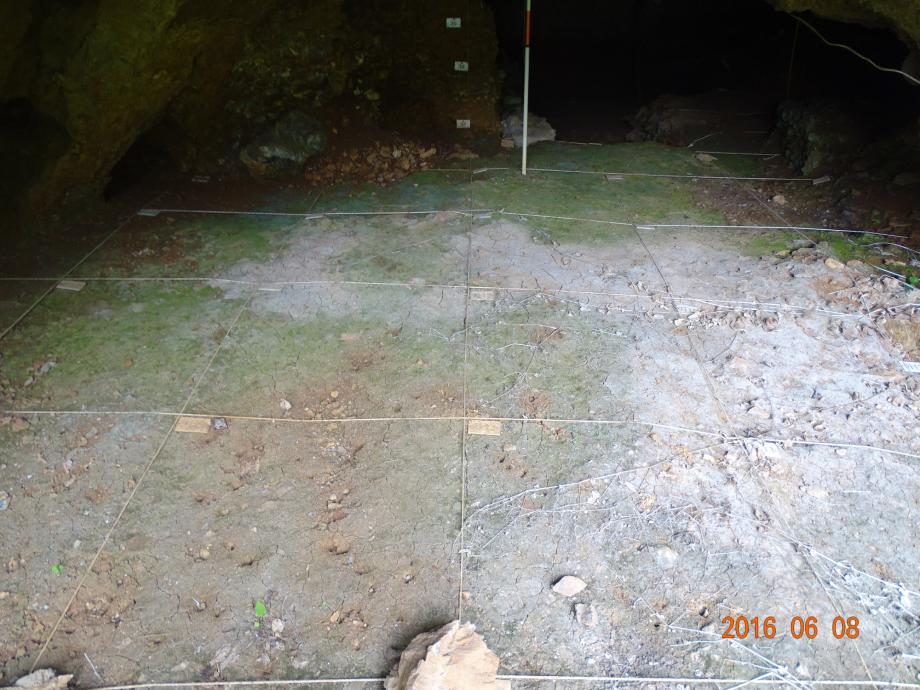 충청북도 문화재돌봄사업