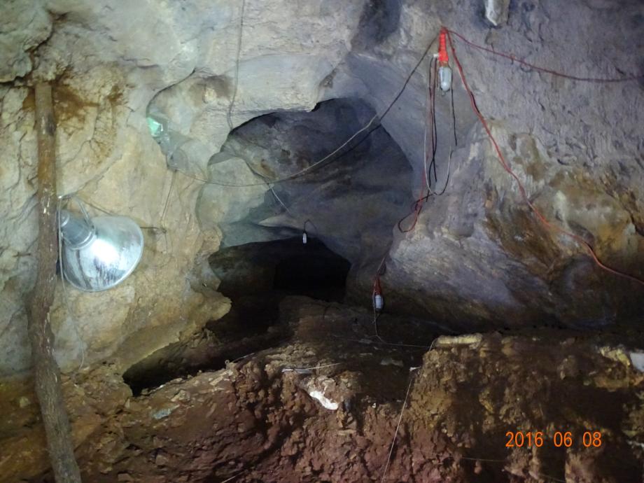 충청북도 문화재돌봄사업