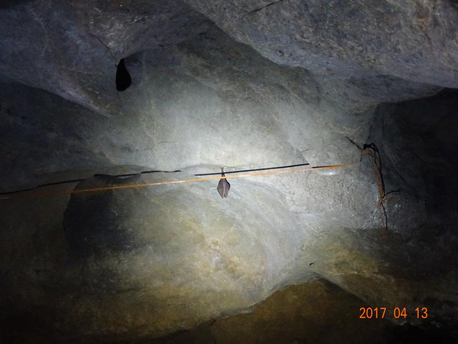 충청북도 문화재돌봄사업