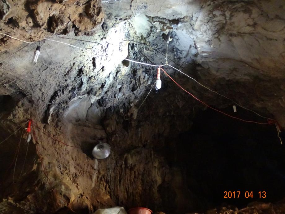 충청북도 문화재돌봄사업