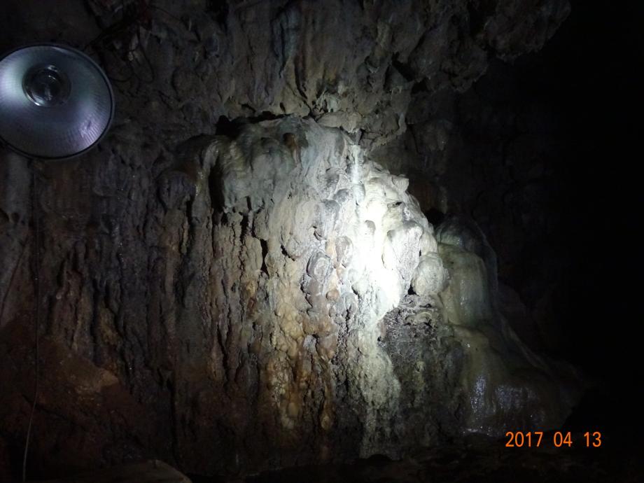 충청북도 문화재돌봄사업